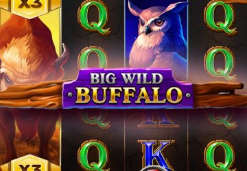 Автомат Big Wild Buffalo в BetWinner казино