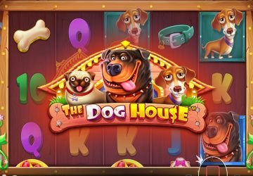 Игра The Dog House в BetWinner казино